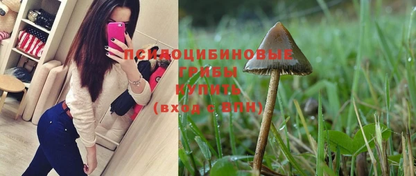 кокс Алзамай