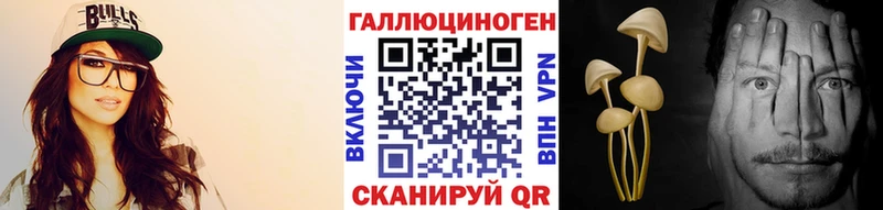 Псилоцибиновые грибы Cubensis  Дмитровск 